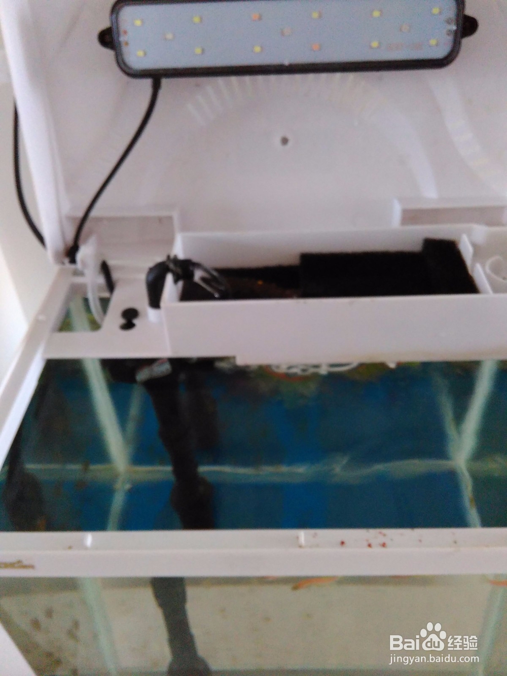 鱼缸的自动清洗方法,省时省力。