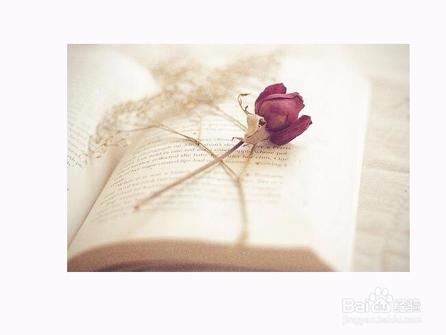 硬封面和软皮封面哪个好