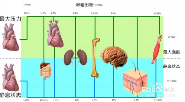 跑步时易岔气,怎么呼吸是对的?
