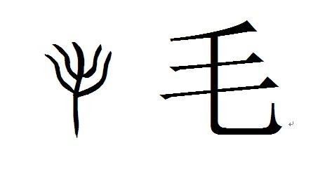 姓毛的人该怎么进行自我介绍比较好