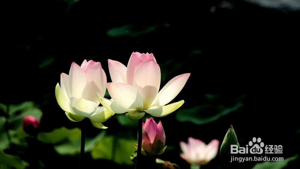 有人把我隐私上传怎么办