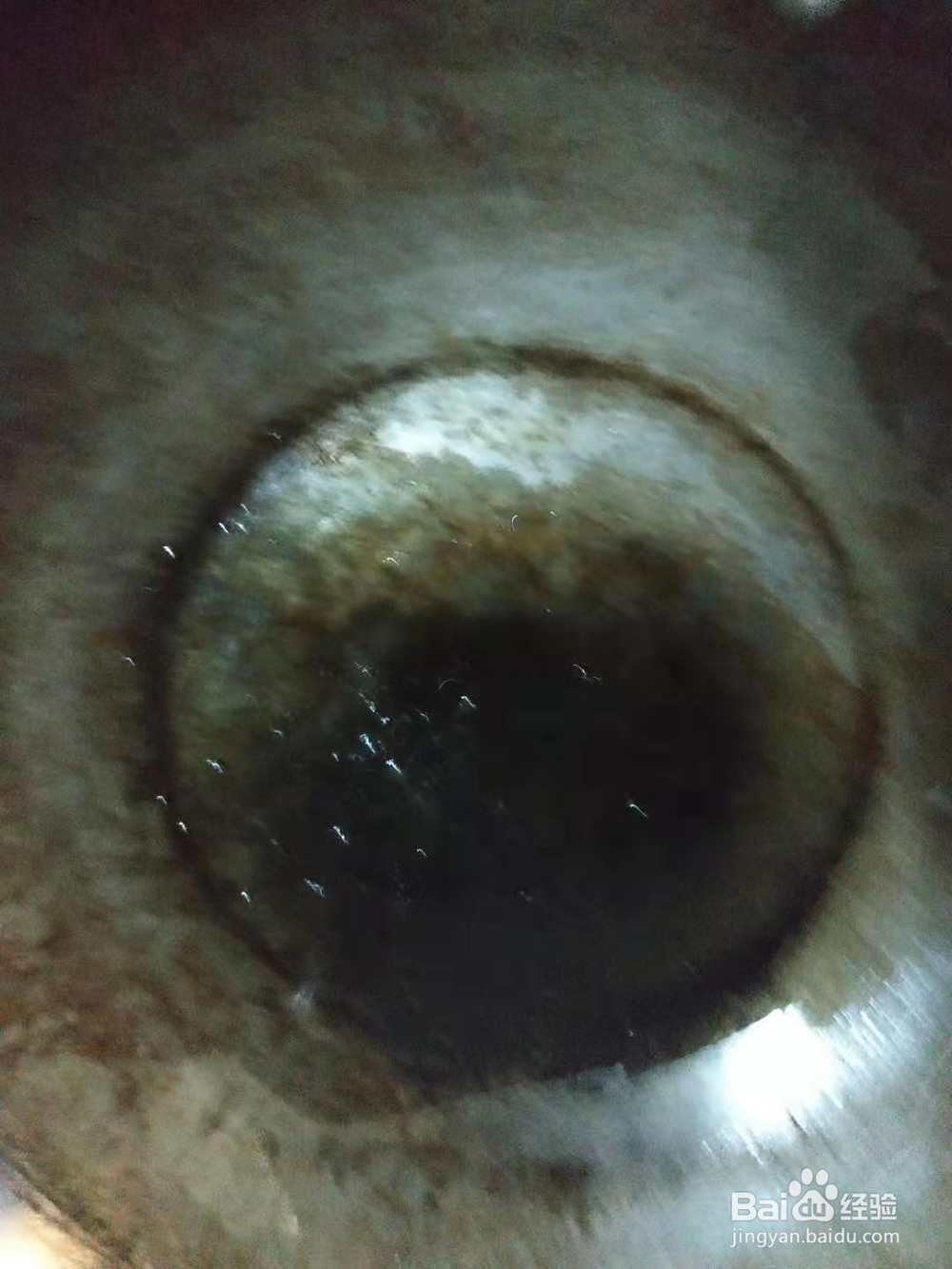 蚕豆米香菇炒鸡蛋