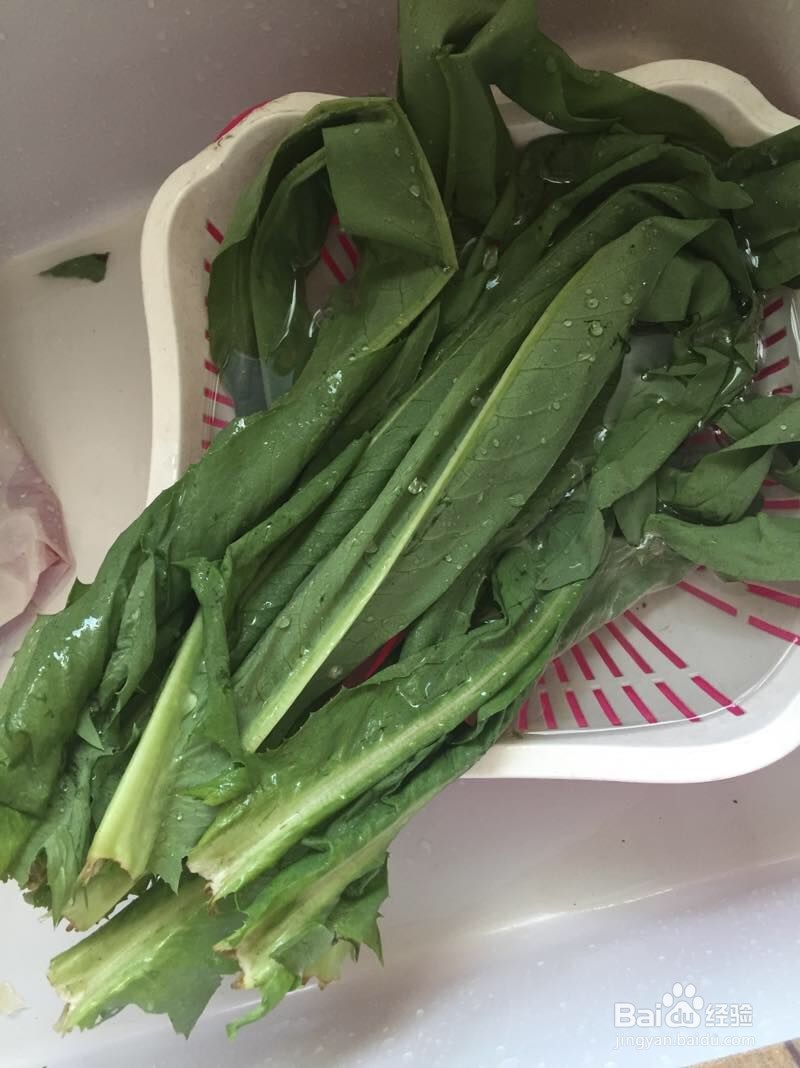 蒜蓉油麦菜怎么做?