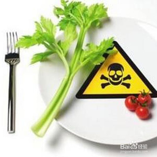 冬季怎么样减肥