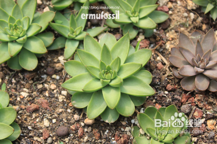 2012年6月23日 记录