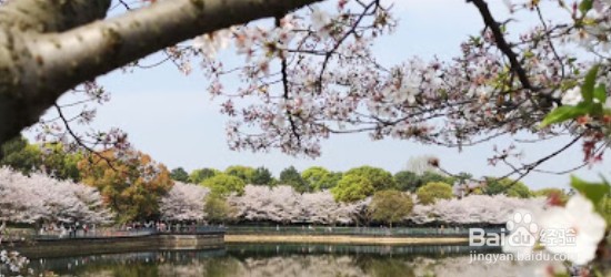 怎样形容四月的美