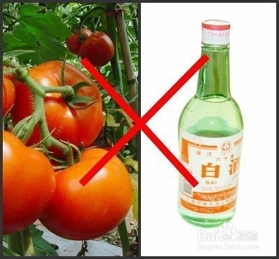 食物这么搭配吃等于自杀，请认真读一下！