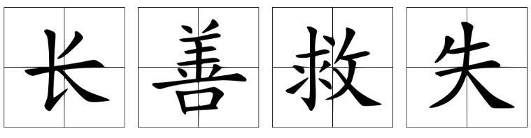 长善救失