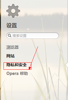 如何清除opera浏览器浏览数据