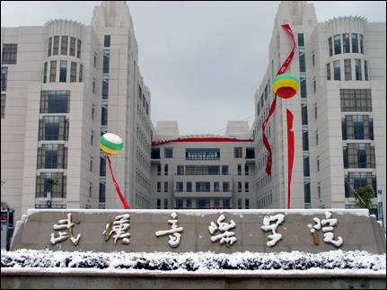 2019武汉音乐学院的分数线有什么要求吗