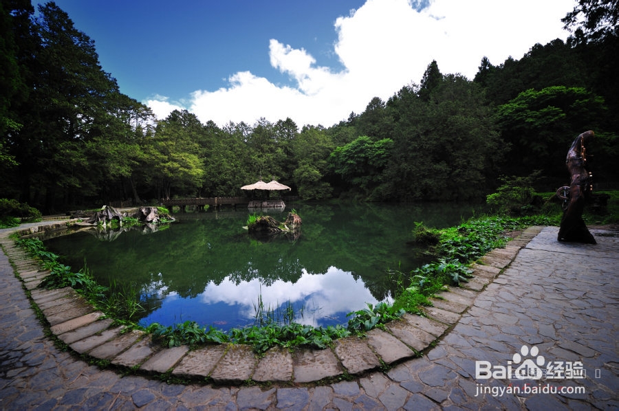 宝岛台湾旅游攻略：[3]阿里山旅游攻略