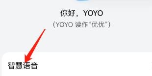智慧语音功能怎么设置驾驶场景