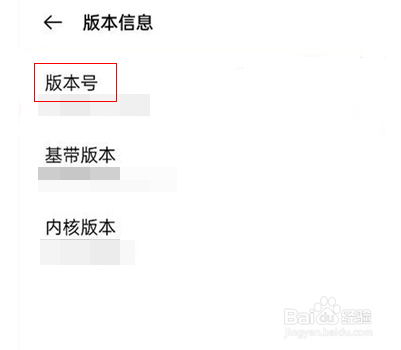 一加9r怎么进入开发者模式