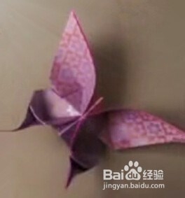 折纸大全：[1]如何折出漂亮的蝴蝶