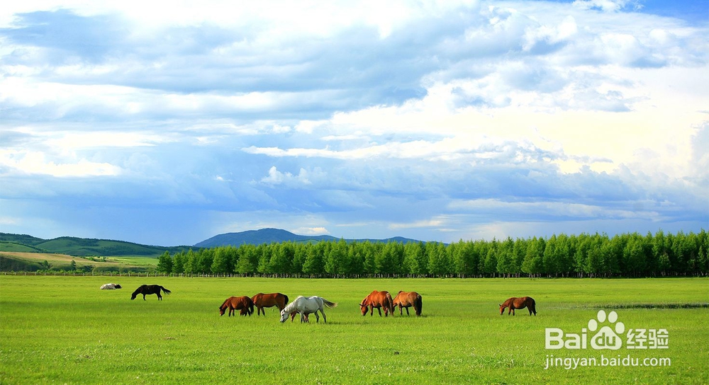 一生中必去的十大旅游景点,你去过几个?