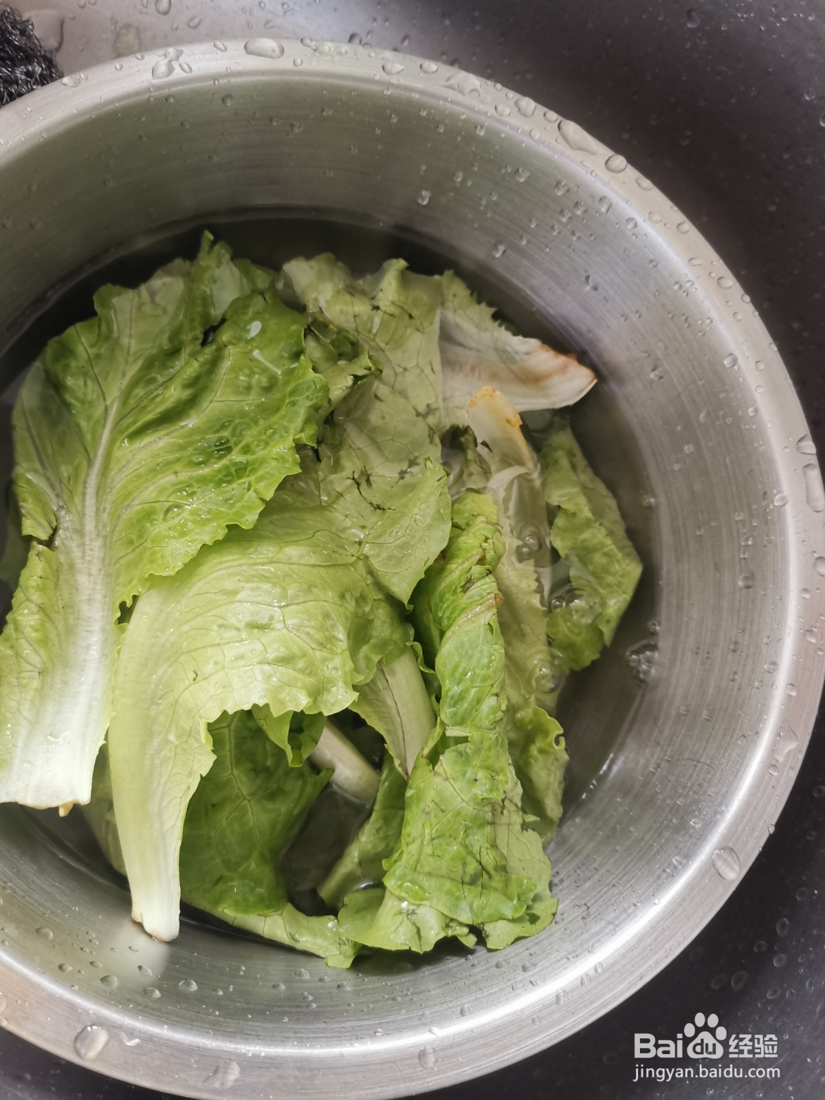 鸡蛋酱鸡胸肉拌生菜