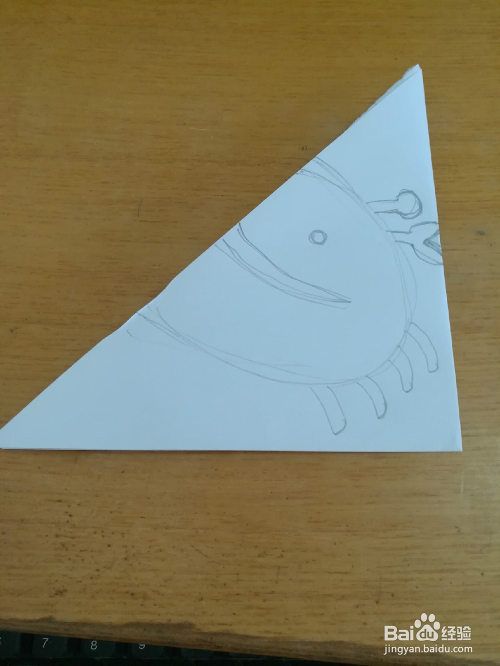 四角折剪——娃娃蟹