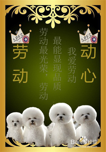 如何快速的学好Photoshop（ps）？