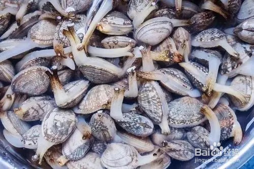 花甲买回家后怎么保持鲜活