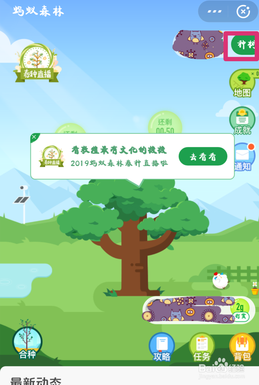 蚂蚁森林怎样种树