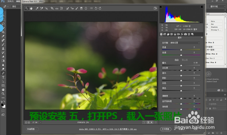 window系统photoshop里RAW预设安装位置