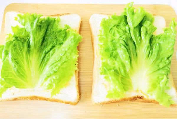 芝士火腿三明治