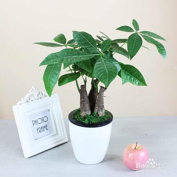 如何戒掉游戏瘾？（未成年版）