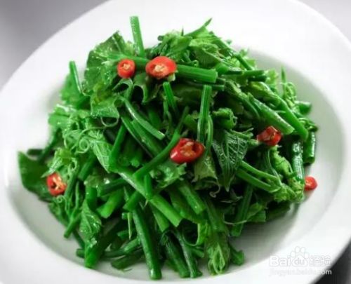 新鲜的刺五加怎么吃