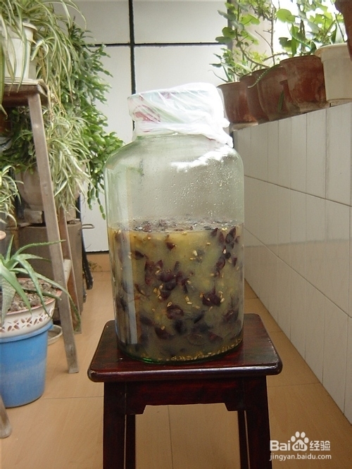 学做葡萄酒，比买的要好喝