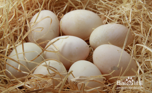 早上吃鸡蛋为何会胀气，不舒服怎么办