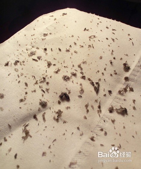 海藻面膜的使用步骤