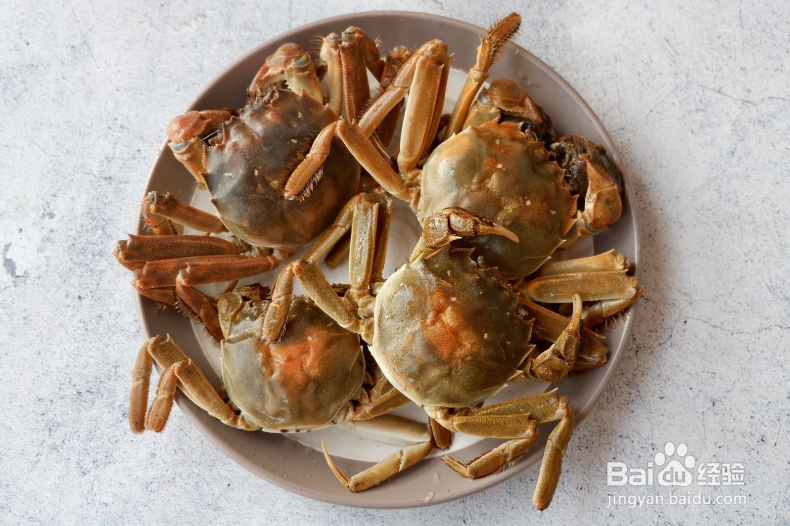 【海鲜蟹肉煲】简单做法