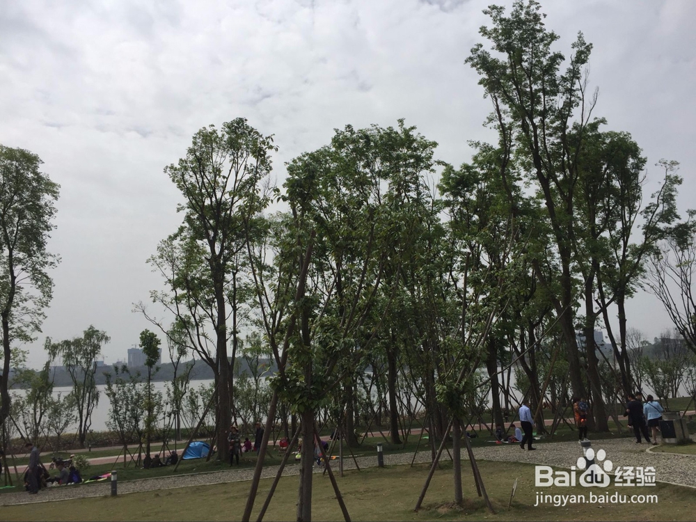 成都市天府新区兴隆湖周末游