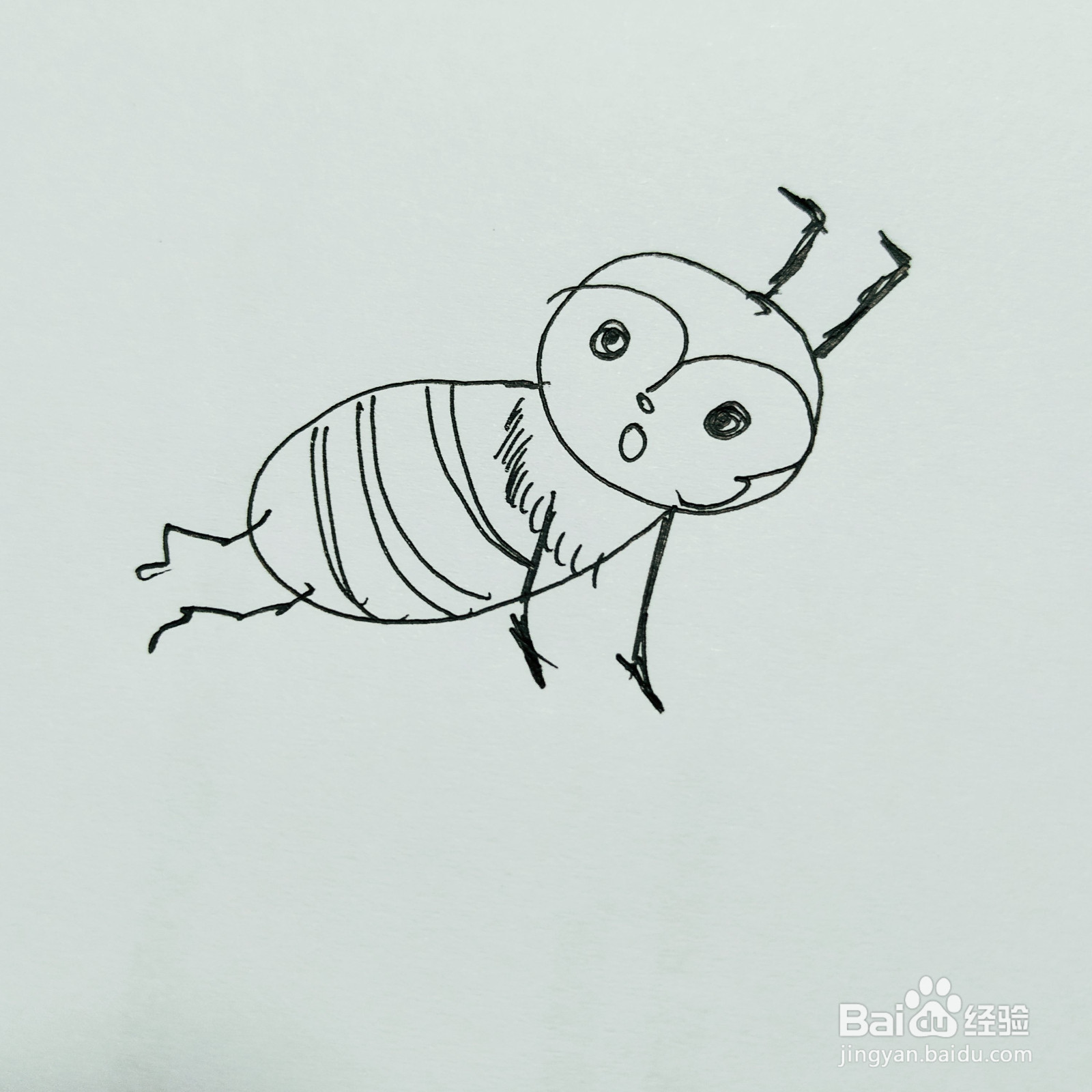 如何来画一只卡通蜜蜂简笔画呢