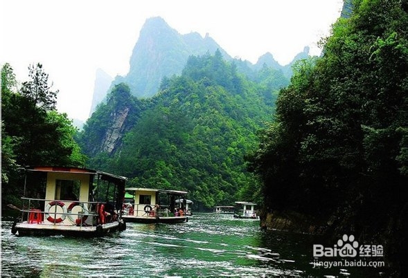 来张家界旅游的应该做什么样的计划安排?