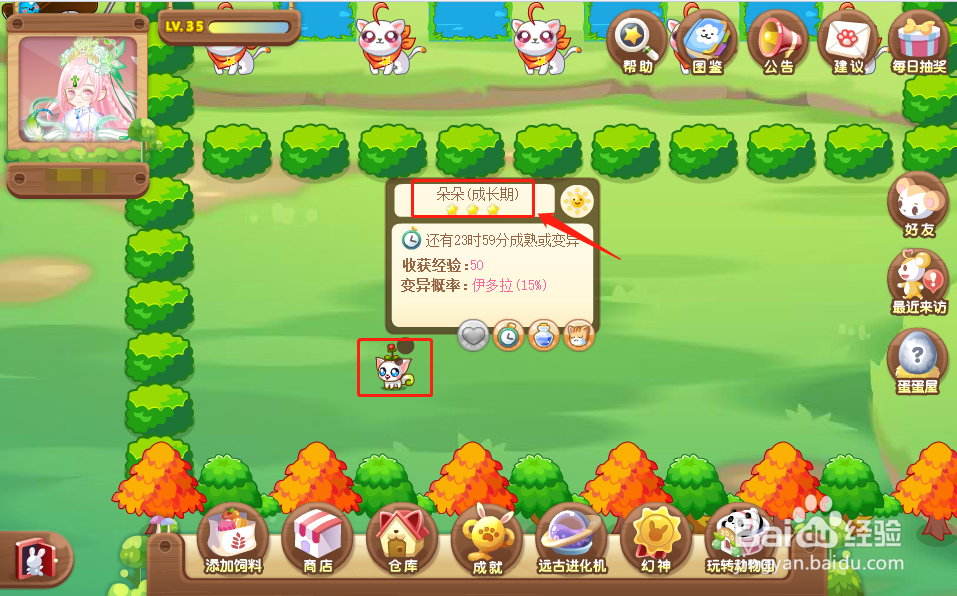 奥比岛中的伊多拉怎么获得