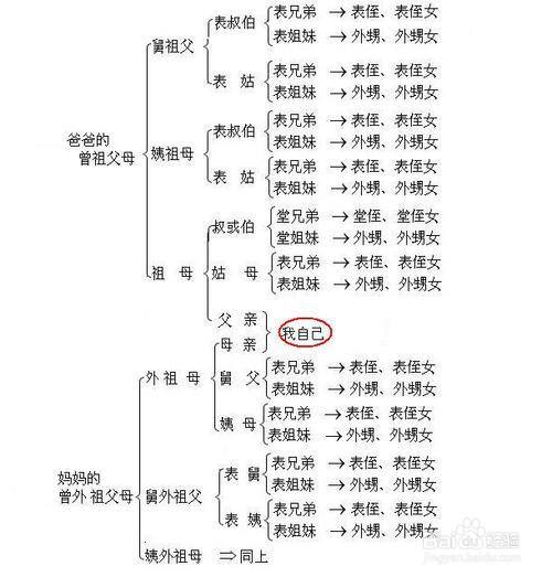 表叔的儿子怎样称呼