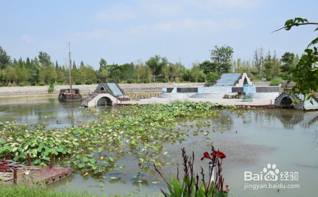 自驾洪泽湖观荷花