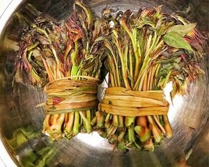 健康养生佳品腌香椿的做法