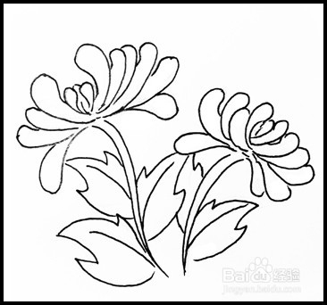 怎样画简笔画（花卉）：[9]菊花2