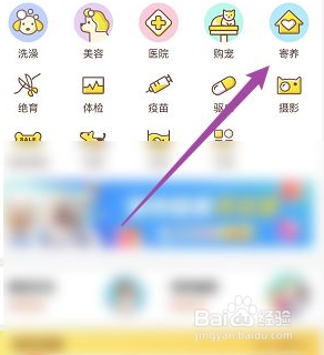 回南天猫咪怎么办