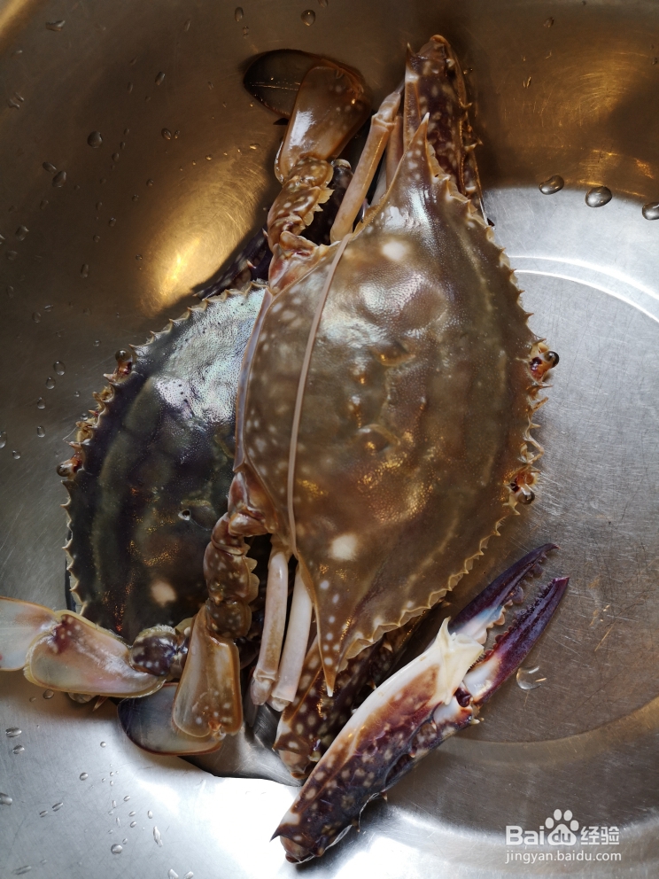 简单快捷的葱姜梭子蟹