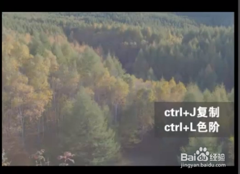 教你如何给图片去雾。