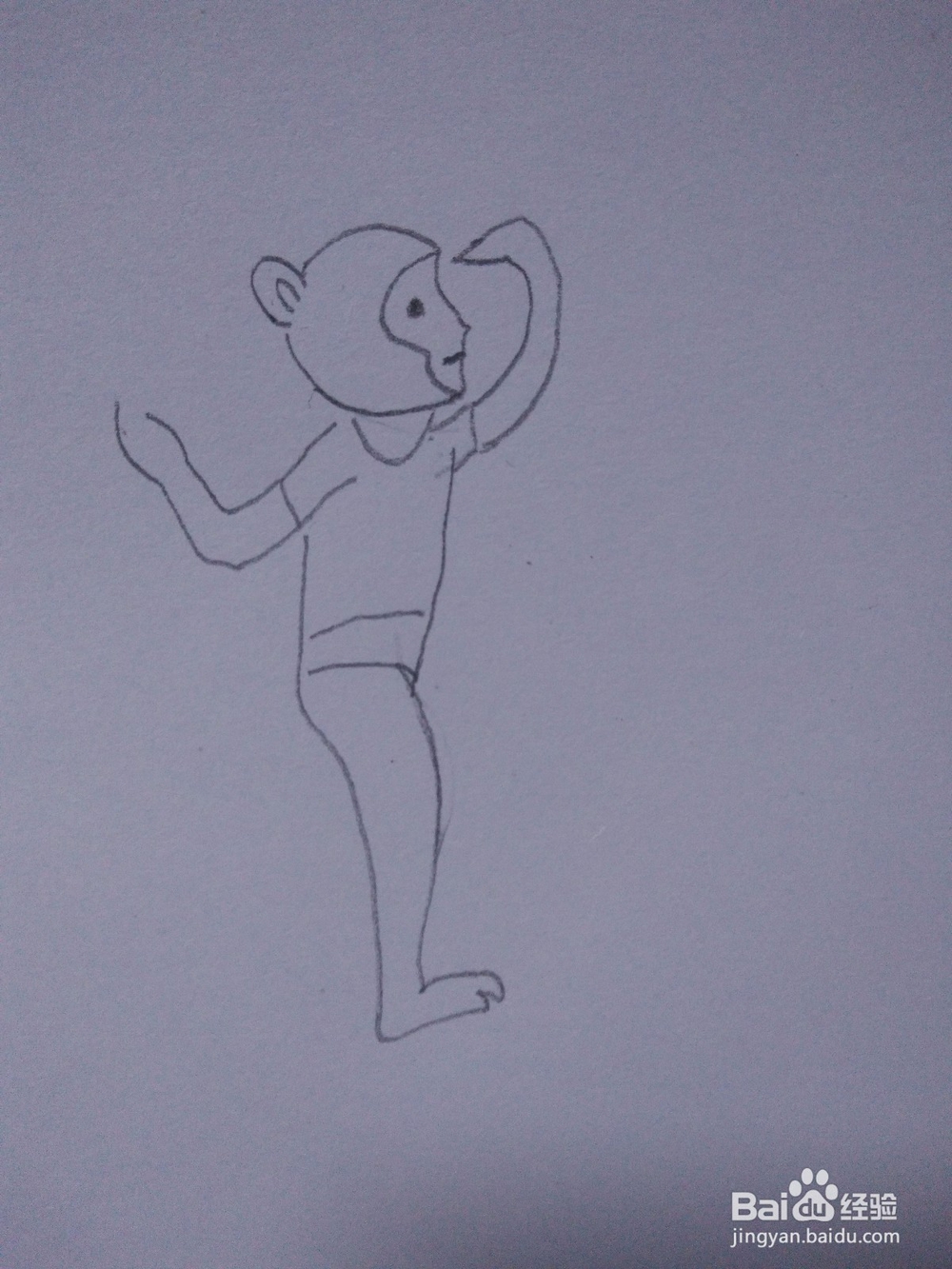 简笔画―如何画猴子骑独轮车简笔画？