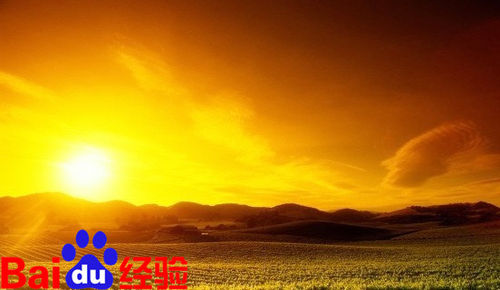 世界葡萄酒旅游胜地---微醺酒香享受阳光