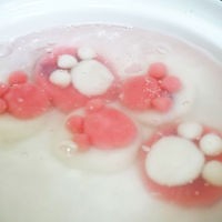 猫爪汤圆——郝馍好样