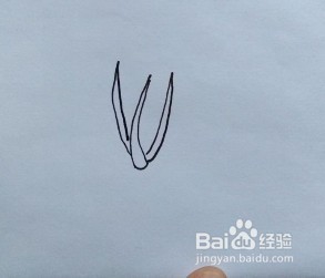菠菜怎么画？