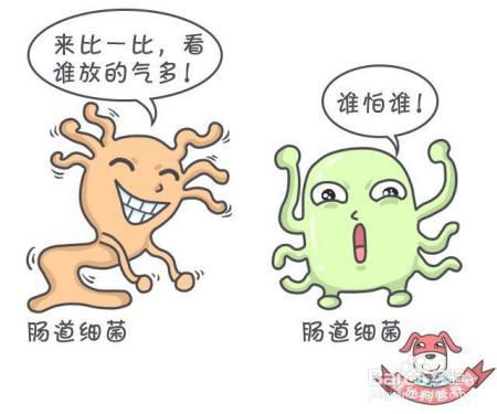 肚子胀气，“屁”大点儿事，忍忍就过去了？