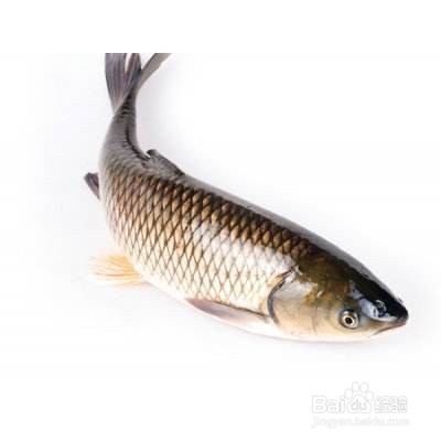 简单几步搞点炸鱼块吃