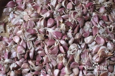 种大蒜如何能获高产